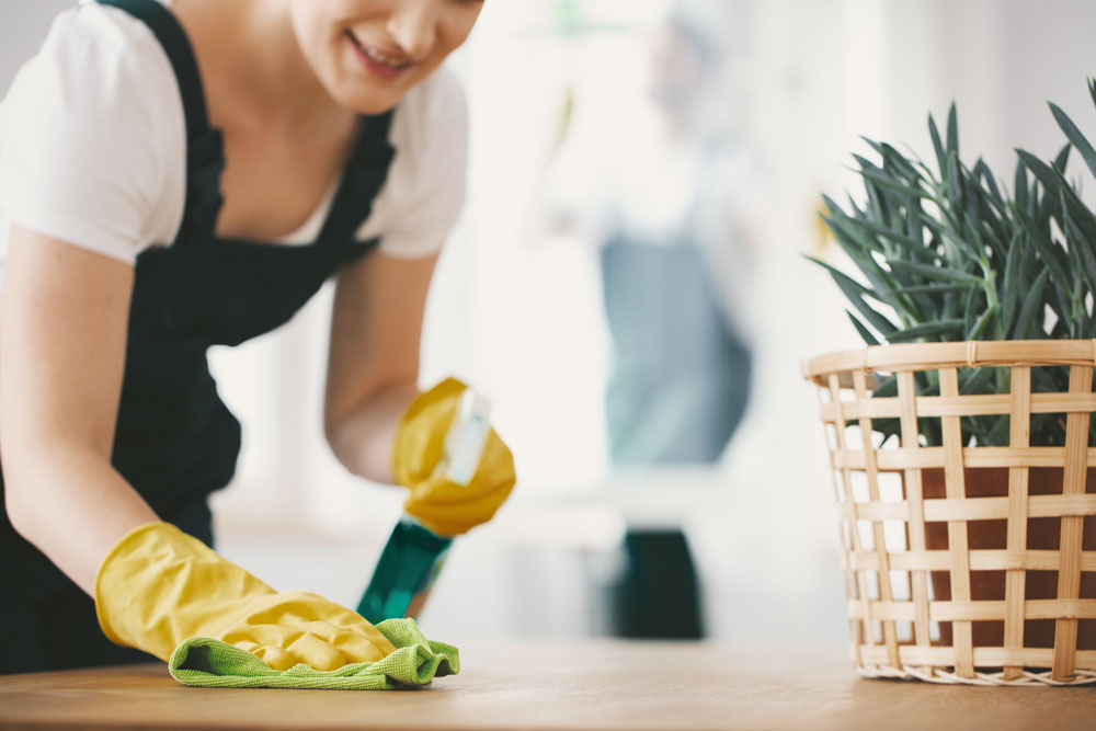 Home cleaning services for Boise, Meridian & Eagle in Idaho